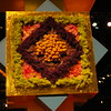 Philadelphia Flower Show 07